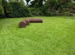 Eric C.'s lawn maintenance service result