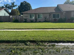 Chris M.'s grass cutting service result