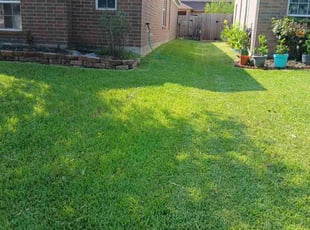 Jonathan H.'s grass cutting service result
