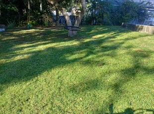 Mike B.'s lawn service service result