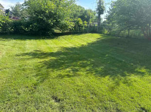 Michelle D.'s lawn care services service result