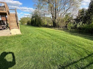 Kimstark S.'s turf maintenance service result