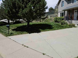 Mary M.'s lawn maintenance service result