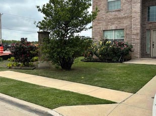 Laura C.'s residential landscaping service result