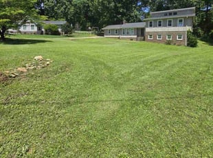 Dan C.'s turf maintenance service result