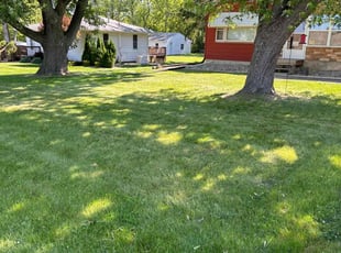 Angela T.'s turf maintenance service result