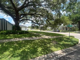 Ginger G.'s grass maintenance service result