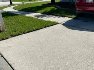 La J.'s lawn care service result