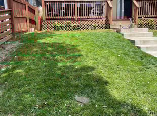 Keith a.'s turf care service result