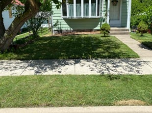 linus r.'s lawn service service result