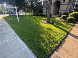 Kevin I.'s turf care service result
