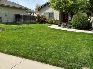 Reece M.'s turf care service result