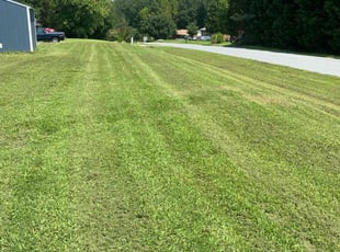 Sheila D.'s lawn service service result