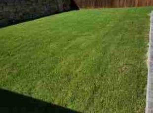 Aaron S.'s grass maintenance service result