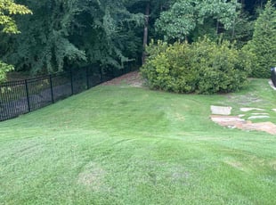 Austin C.'s grass maintenance service result