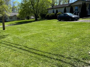 Raphy V.'s yard care service result