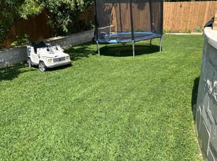 Aebin N.'s lawn maintenance service result