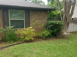 Linda W.'s Bush Trimming service result
