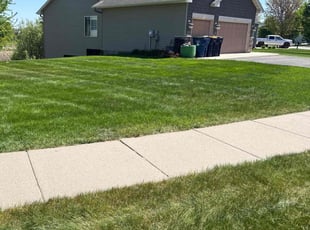 Alex W.'s lawn care services service result