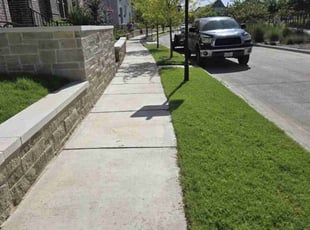 Julia S.'s grass maintenance service result