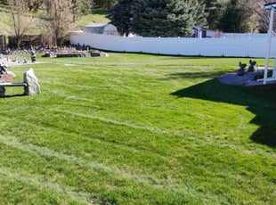Aurora C.'s grass cutting service result