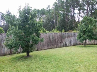 Corey F.'s lawn service service result
