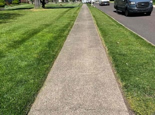 Sarah C.'s lawn care services service result