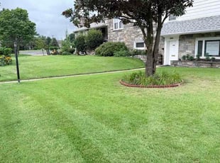 Matt G.'s lawn service service result
