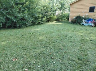 Dee H.'s lawn care services service result