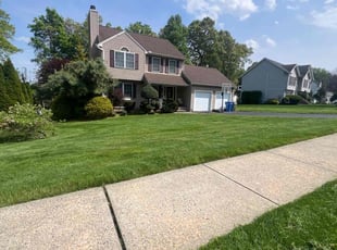 Zach W.'s turf care service result