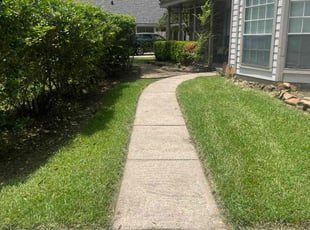 Rosa R.'s turf maintenance service result