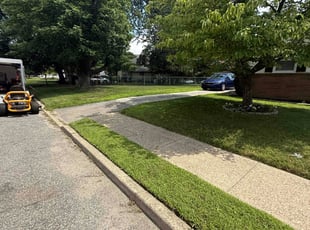 Ted K.'s grass maintenance service result