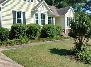 Brandon S.'s Bush Trimming service result