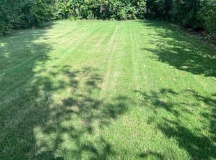Dorcas S.'s grass cutting service result