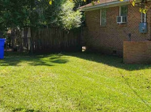 Roya B.'s turf care service result