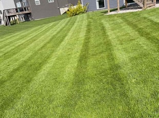 Faith R.'s lawn care services service result