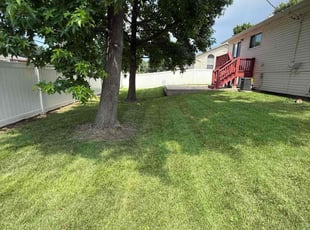 Yvonne M.'s turf maintenance service result