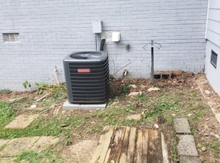 Gerald W.'s Bush Trimming service result