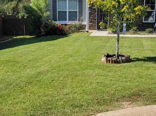 Clara C.'s lawn care services service result