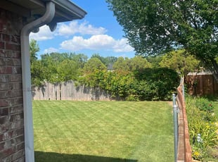 Luis T.'s grass cutting service result