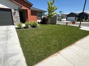 Katrina F.'s lawn care service result