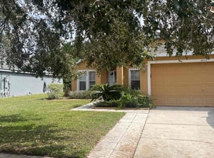 Brenda F.'s lawn care service result