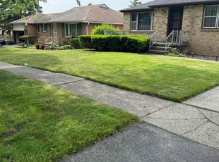 Benjamin J.'s lawn service service result