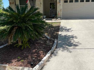 Annette M.'s lawn service service result
