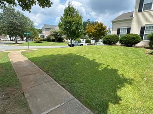 Michelle P.'s lawn care services service result