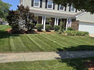 Soma M.'s turf maintenance service result