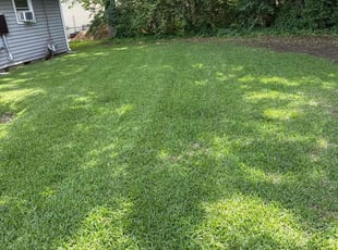 Westley G.'s grass cutting service result