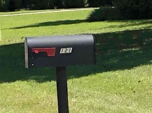 Satya P.'s lawn service service result