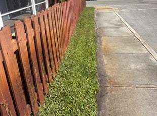 Janis R.'s lawn care service result