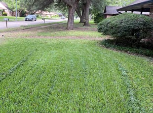 Sarah D.'s lawn service service result